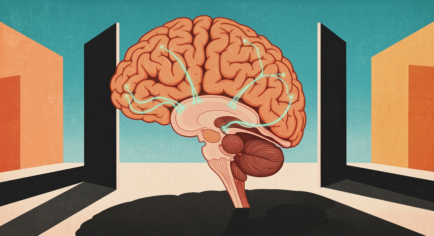 Neurology Essentials for Diploma Programs