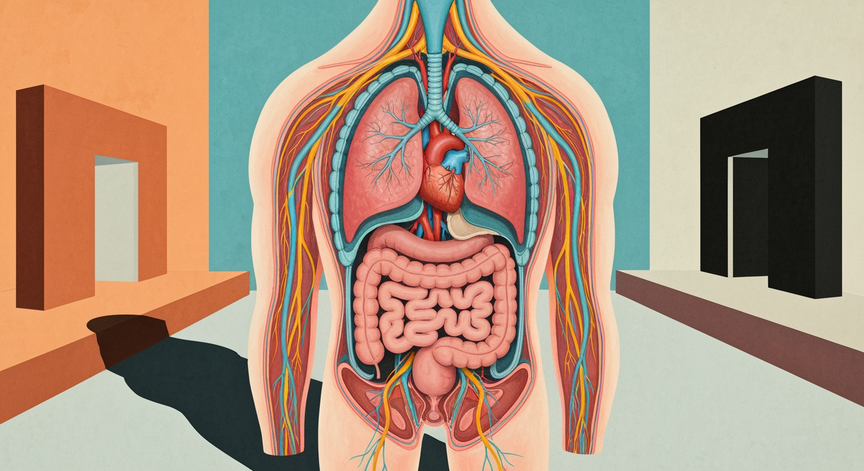 Exploring the Human Body