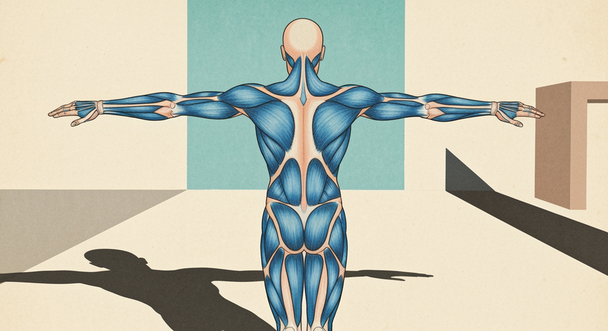 Freestyle Swimming Anatomy for Athletes