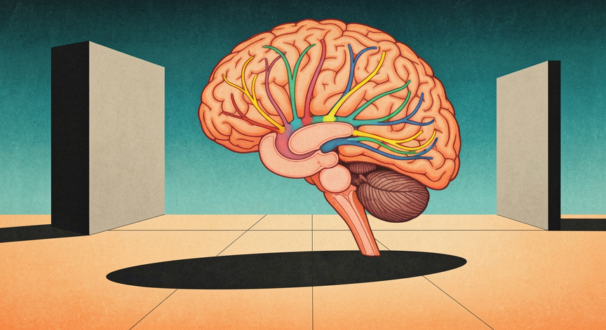 Advanced Neuroanatomy of Sensory and Motor Pathways