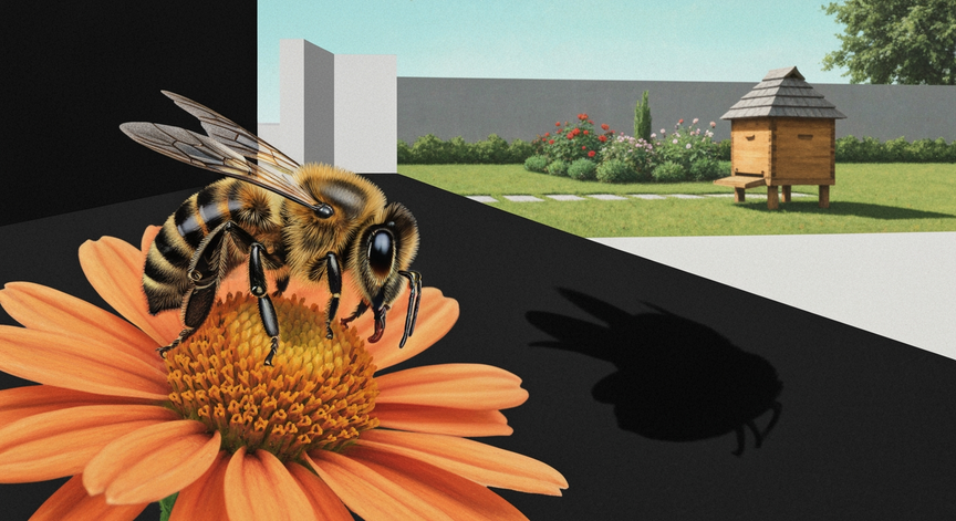 Domestic Beekeeping for Gardeners
