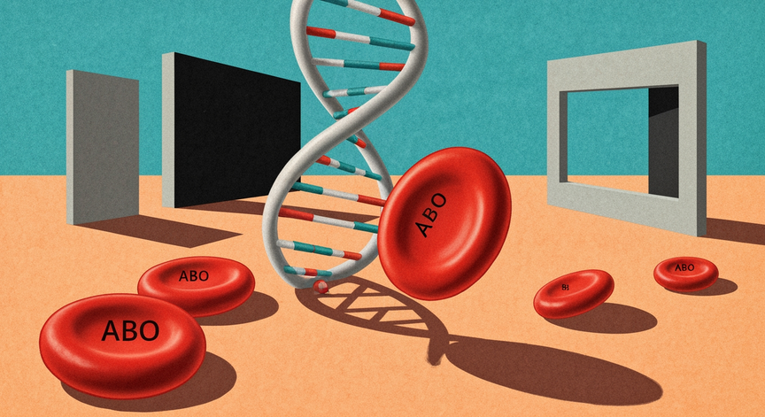 Advanced ABO Blood Group System Applications
