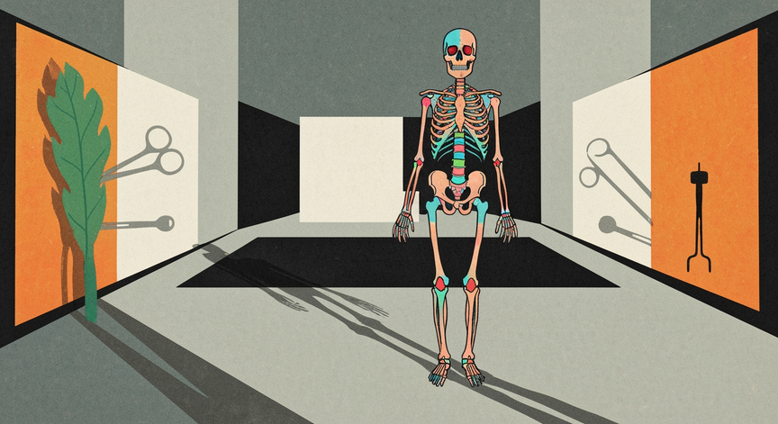 Introduction to Orthopedic Surgery