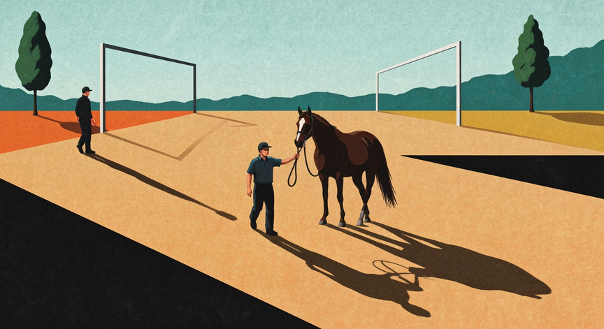 Horse Training Fundamentals