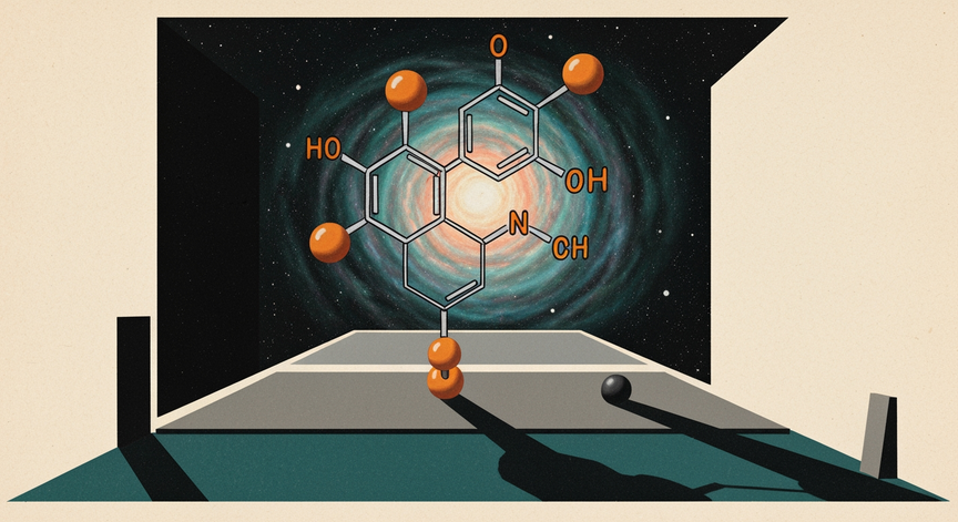 Understanding DMT