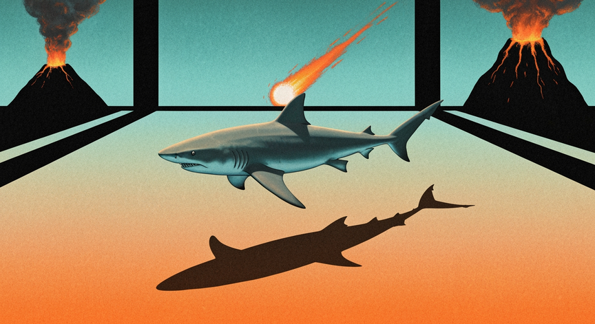 Sharks Through Deep Time