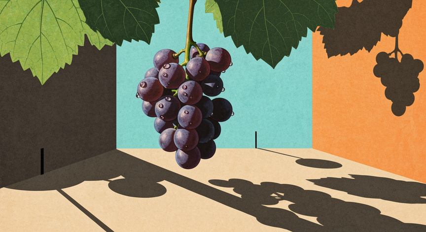 The Art and Science of Winemaking