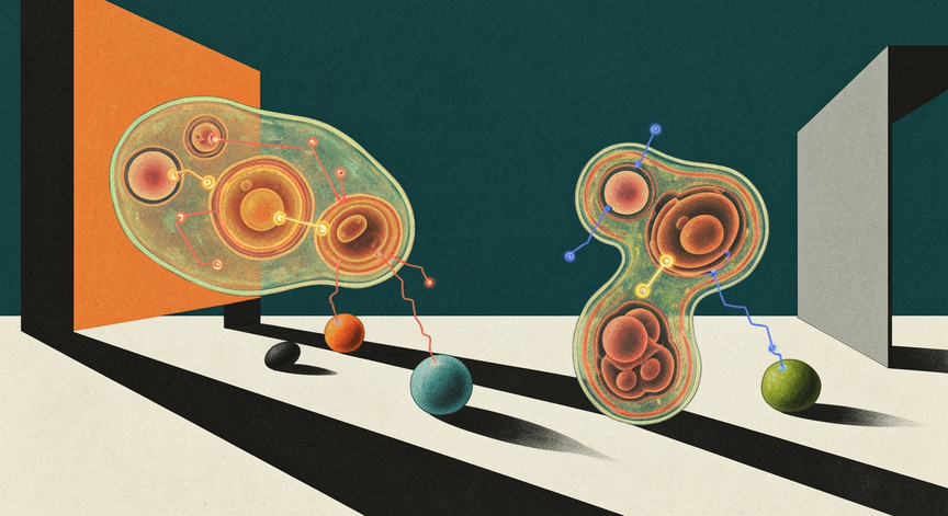Advanced Gastrulation in Biotechnology