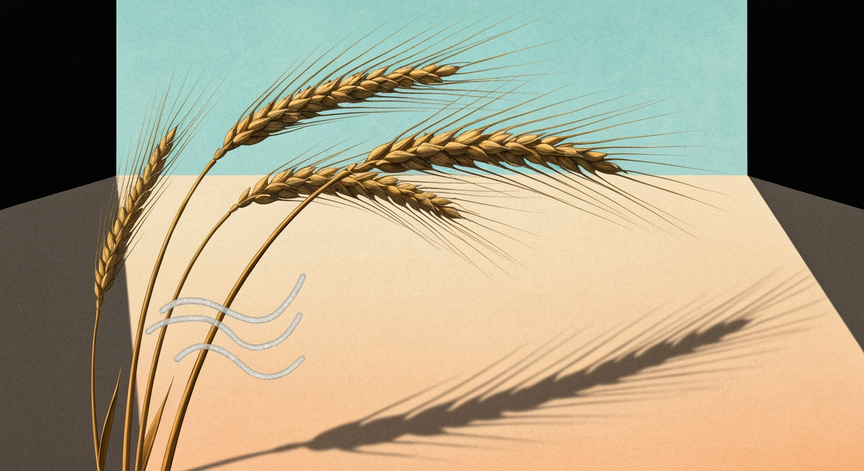 Understanding Gluten Intolerance