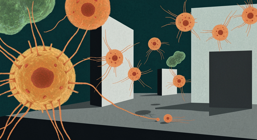 Mastering Adaptive Immunity