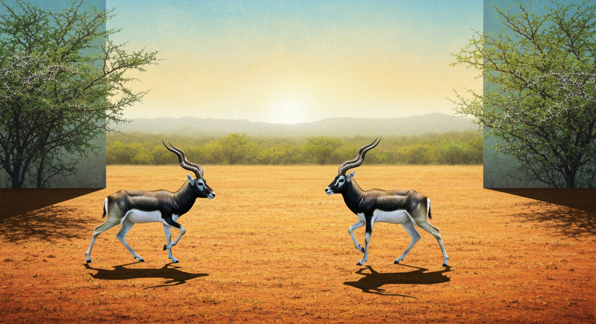 Understanding Eco-Sensitive Zones and Vallanadu Sanctuary