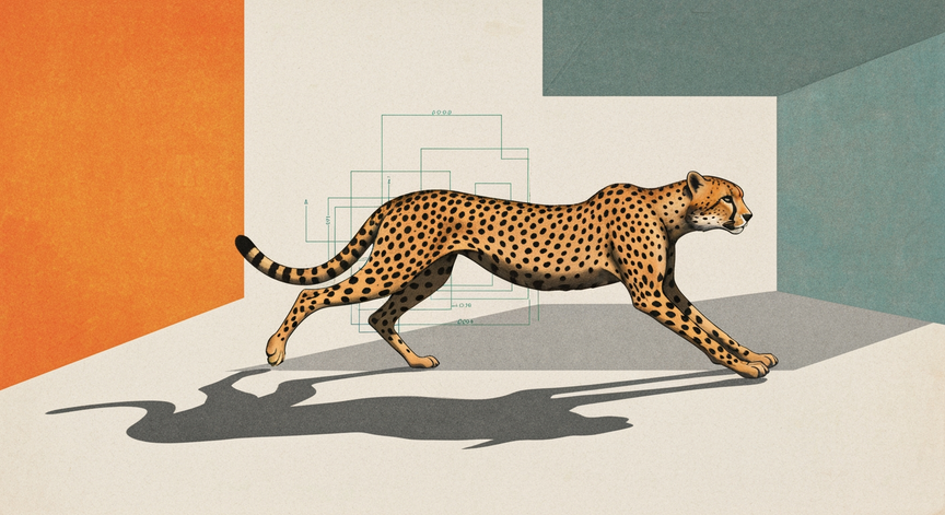 Cheetah Biomimicry Inspiration