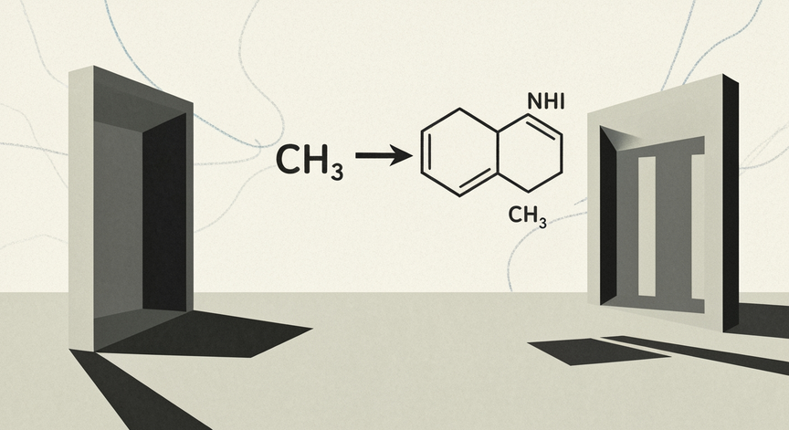 Mastering SN2 Methylation Reactions