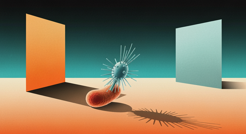 Understanding Viruses A Beginner's Guide