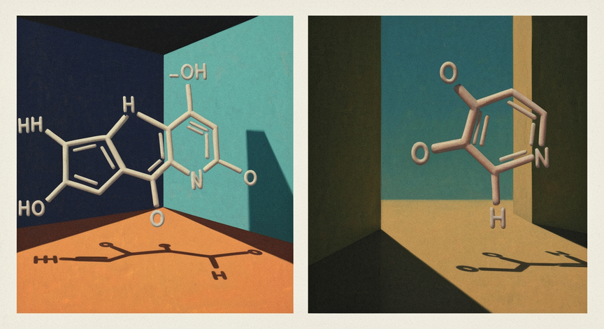 Fundamentals of Alcohols and Phenols