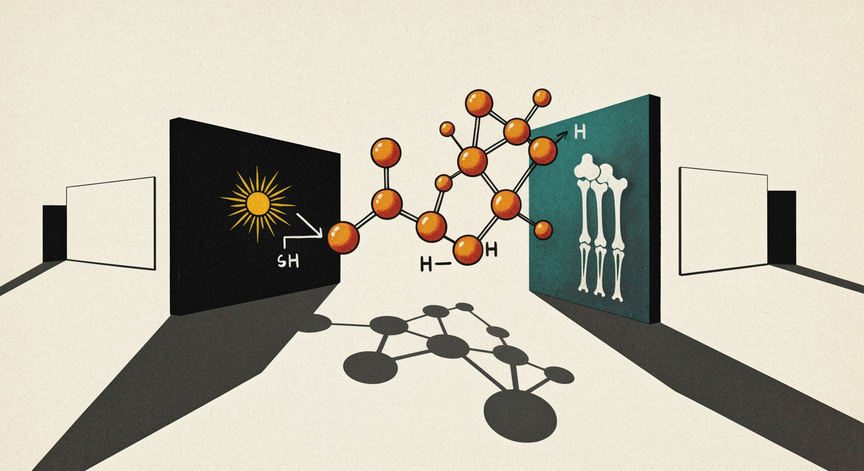 Vitamin D Metabolism and Health