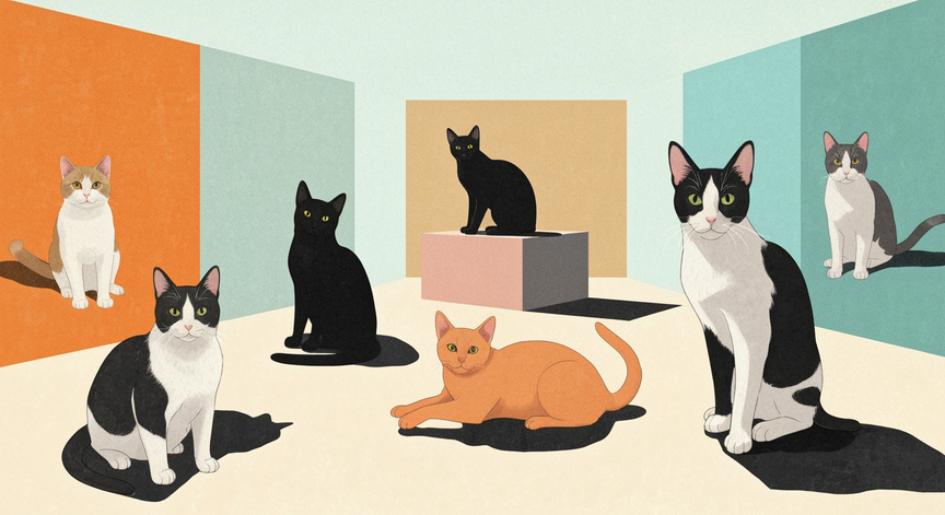 An Introduction to Cats