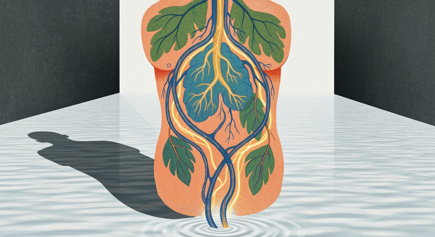 Somatic Mastery and Vagus Nerve Regulation