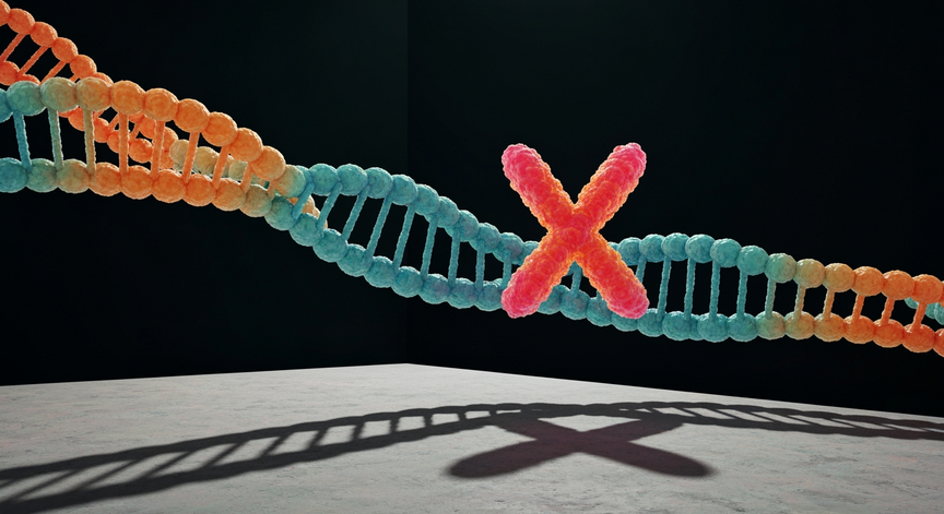 Molecular Architecture of Chromosomes and DNA