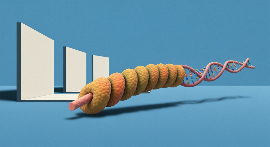 Advanced Chromosomes and DNA PTB Guide