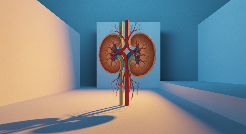 Physiology of the Urinary System
