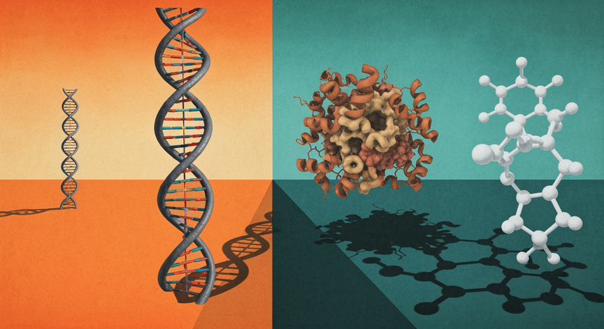 Mastering Biological Macromolecules
