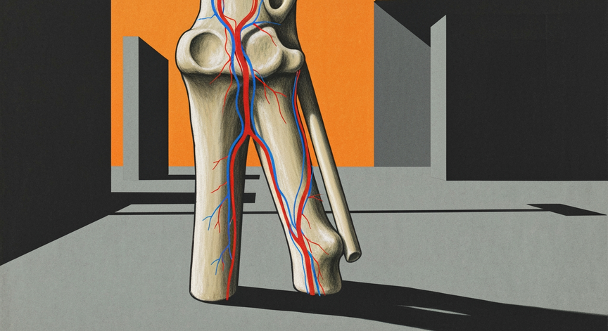 Clinical Anatomy of Trochanteric Anastomosis