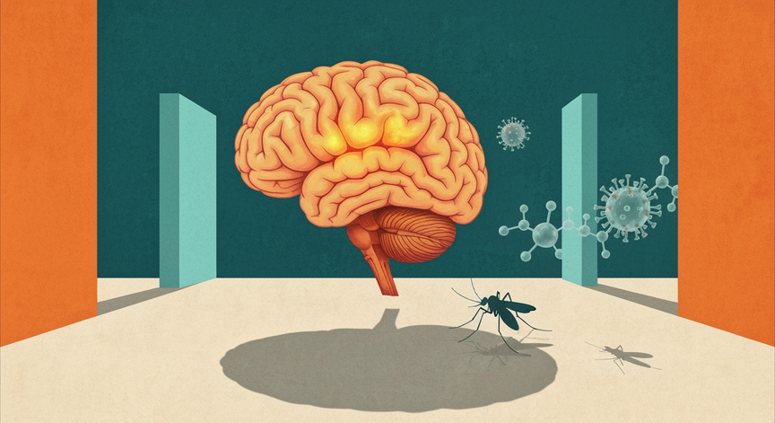 Neurocritical Care Management of Japanese Encephalitis