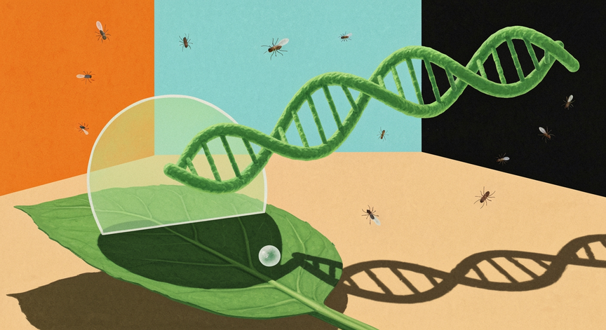 RNAi Based Pesticides and Herbicides Research