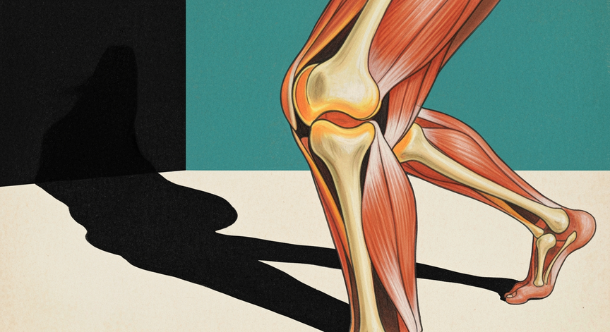 Injury Prevention and Prehabilitation Strategies