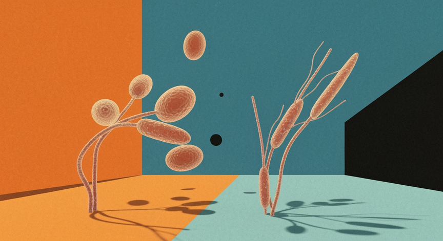 Advanced Biology and Management of Candida