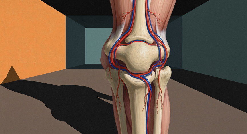 Clinical Anatomy of the Popliteal Fossa
