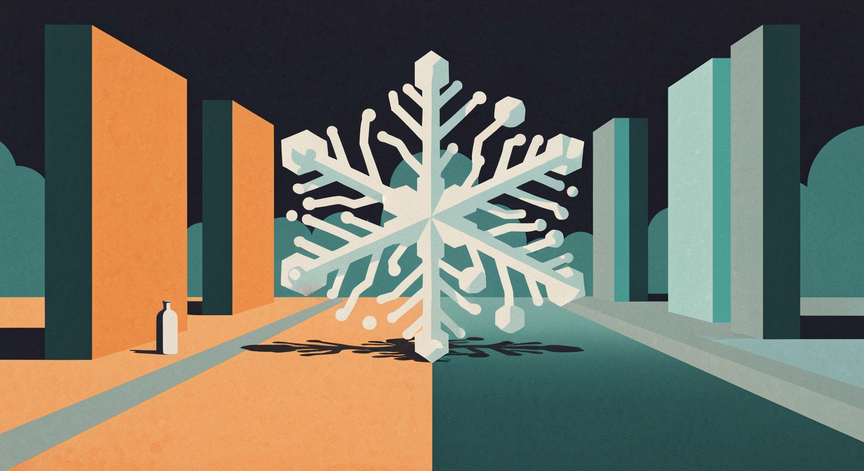 Mastering the Snowflake Data Platform