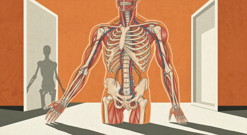 Integrated Systems of Human Anatomy