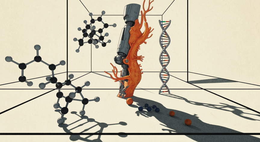 Explorations in Biomedical Engineering
