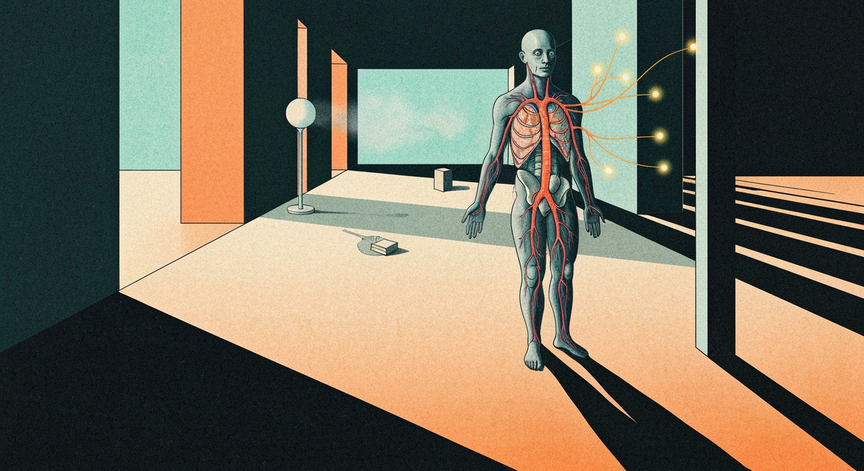 Advanced Human Physiology and Systemic Coordination