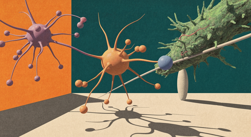 Advanced Psychobiotics and Neurometabolism