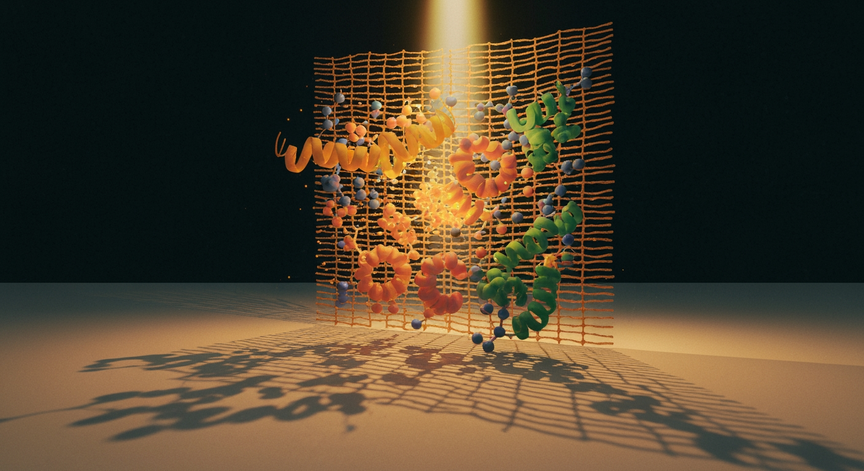 Mechanisms of Photosynthesis and Plant Bioenergetics