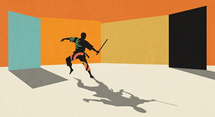Evolution and Mechanics of Global Martial Arts