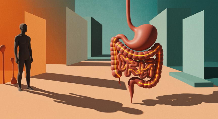 Human Digestive Physiology and Mechanics