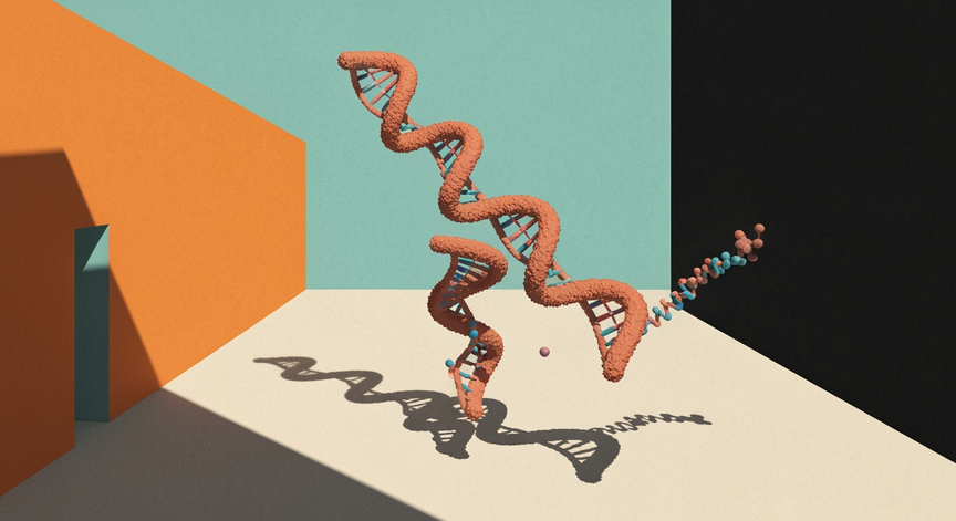 Eukaryotic DNA Replication Mechanisms