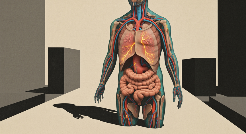 Integrated Human Physiology and Body Systems