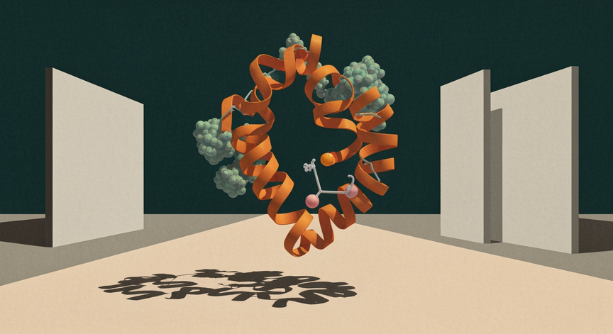 Genetic Optimization of Estrogen Levels and Receptor Health