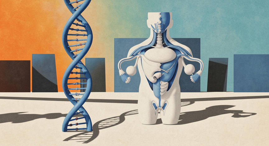 Clinical Analysis of Penile Physiology and Enhancement Methods