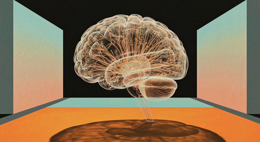 Architectural Design of the Human Brain