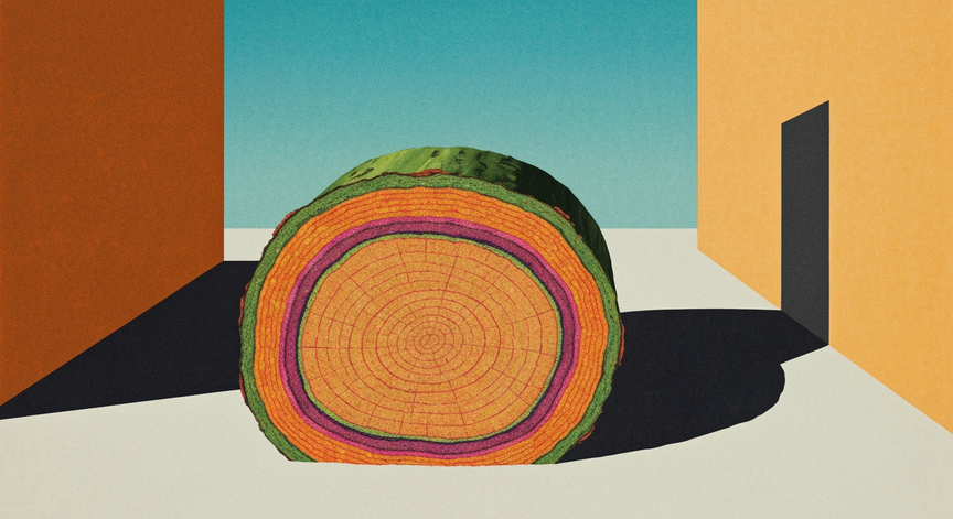 Advanced Structural Botany and Tissue Systems
