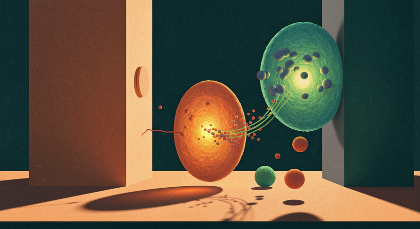 Cellular Communication and Signalling