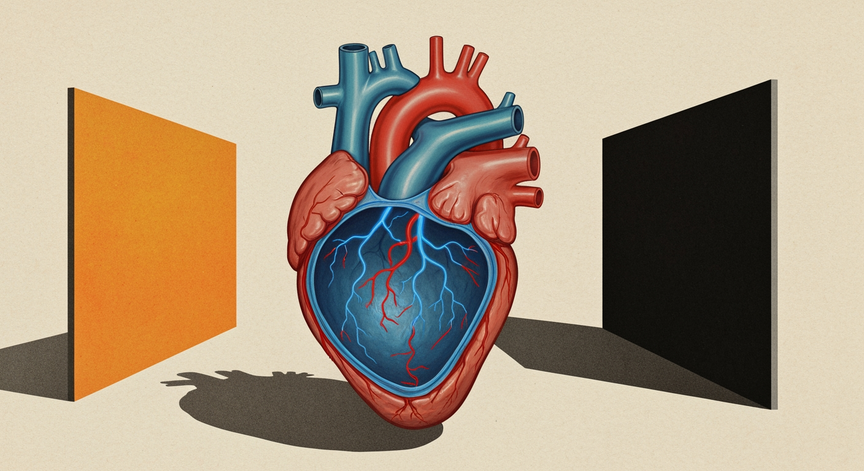 Advanced Cardiac Mechanics and Physiology