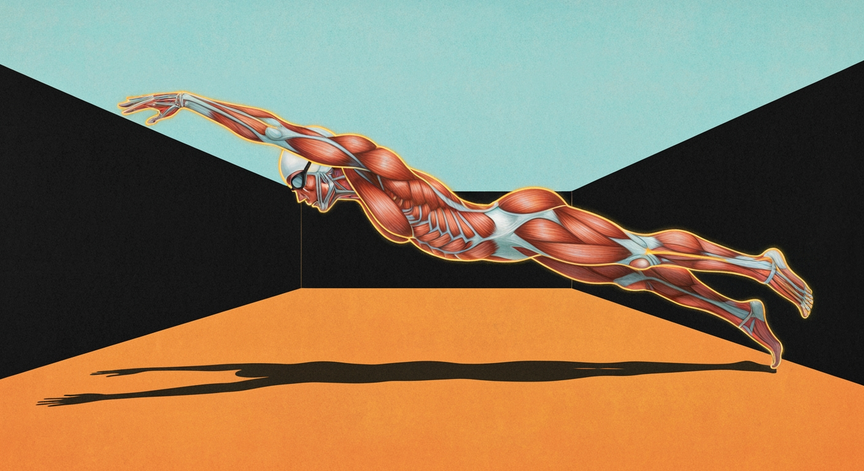 Modern Functional Anatomy for the Masters Swimmer