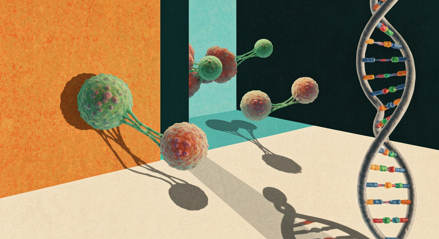 Pathology and Dynamics of Neoplasms